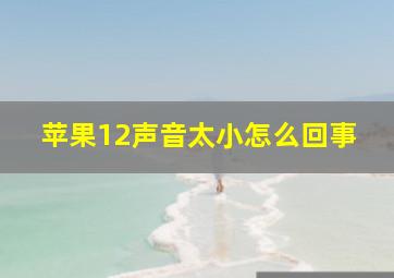 苹果12声音太小怎么回事