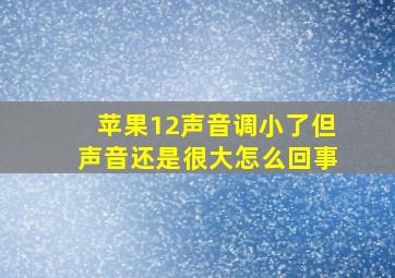 苹果12声音调小了但声音还是很大怎么回事