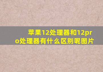 苹果12处理器和12pro处理器有什么区别呢图片