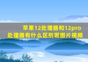 苹果12处理器和12pro处理器有什么区别呢图片视频