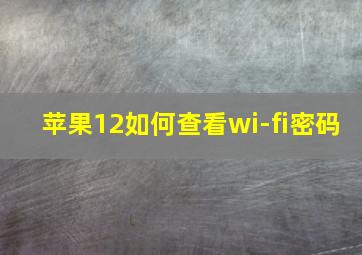 苹果12如何查看wi-fi密码