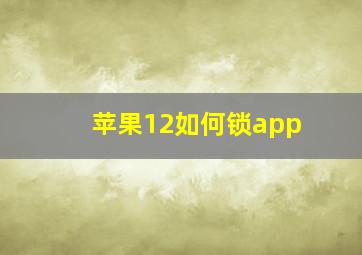 苹果12如何锁app