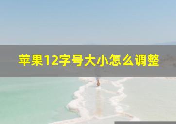 苹果12字号大小怎么调整