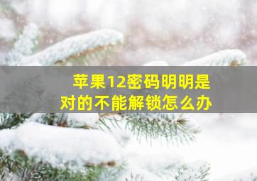 苹果12密码明明是对的不能解锁怎么办