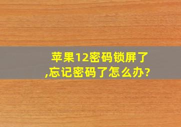 苹果12密码锁屏了,忘记密码了怎么办?