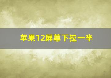 苹果12屏幕下拉一半