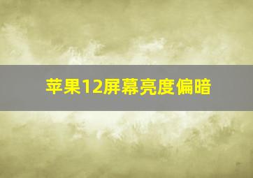 苹果12屏幕亮度偏暗