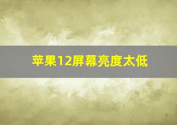 苹果12屏幕亮度太低