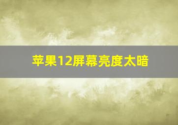 苹果12屏幕亮度太暗