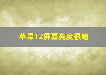 苹果12屏幕亮度很暗