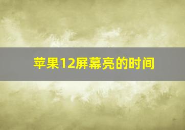 苹果12屏幕亮的时间