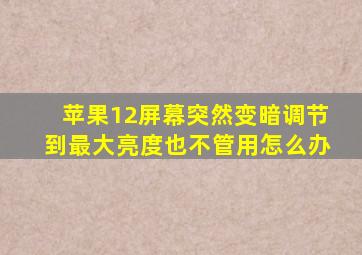 苹果12屏幕突然变暗调节到最大亮度也不管用怎么办