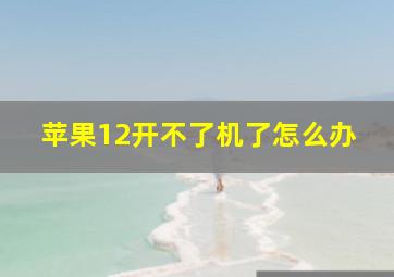 苹果12开不了机了怎么办