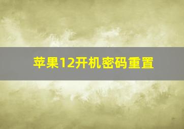 苹果12开机密码重置