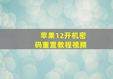 苹果12开机密码重置教程视频