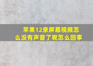 苹果12录屏幕视频怎么没有声音了呢怎么回事