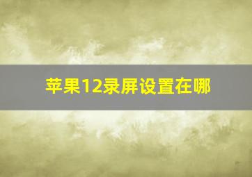 苹果12录屏设置在哪