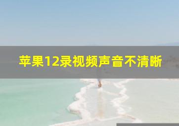 苹果12录视频声音不清晰