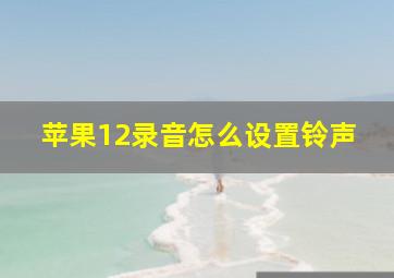 苹果12录音怎么设置铃声