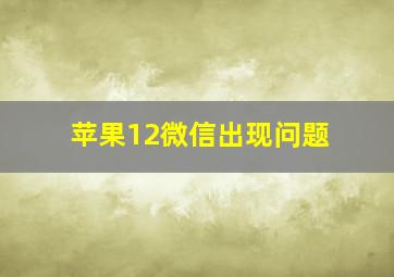 苹果12微信出现问题