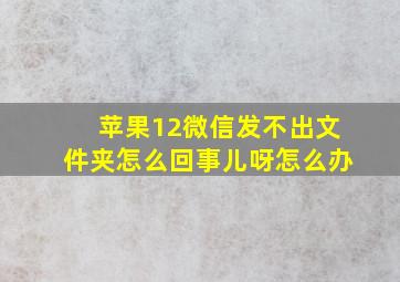 苹果12微信发不出文件夹怎么回事儿呀怎么办