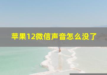 苹果12微信声音怎么没了