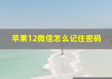 苹果12微信怎么记住密码