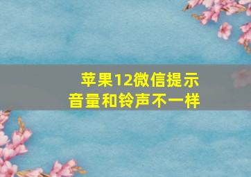 苹果12微信提示音量和铃声不一样