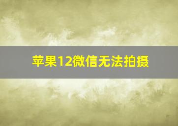 苹果12微信无法拍摄