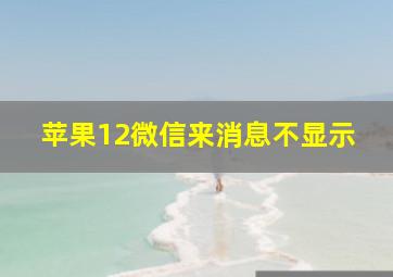 苹果12微信来消息不显示