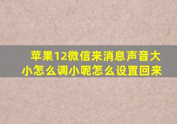 苹果12微信来消息声音大小怎么调小呢怎么设置回来