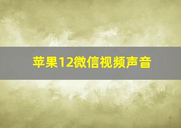 苹果12微信视频声音