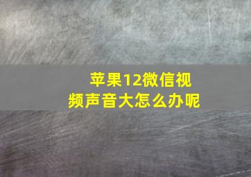 苹果12微信视频声音大怎么办呢