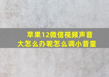 苹果12微信视频声音大怎么办呢怎么调小音量