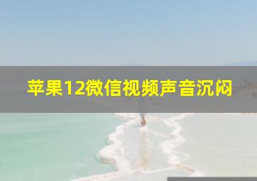 苹果12微信视频声音沉闷