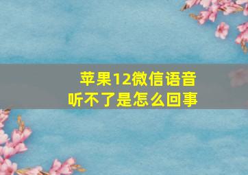 苹果12微信语音听不了是怎么回事