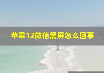 苹果12微信黑屏怎么回事