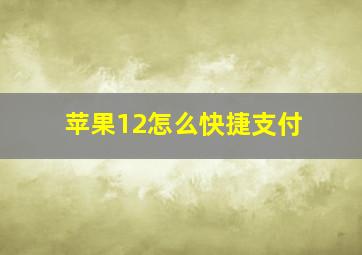 苹果12怎么快捷支付