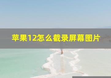 苹果12怎么截录屏幕图片