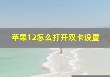 苹果12怎么打开双卡设置