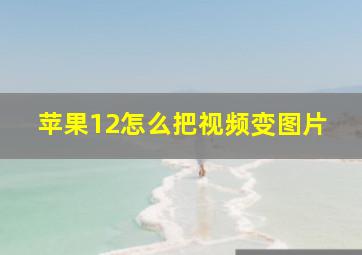 苹果12怎么把视频变图片