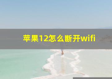 苹果12怎么断开wifi