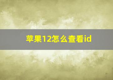 苹果12怎么查看id