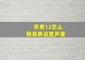 苹果12怎么用录屏设置声音