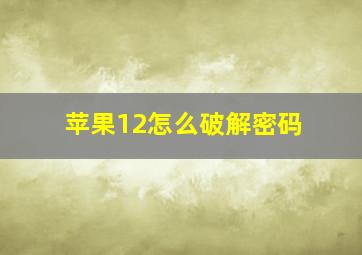 苹果12怎么破解密码