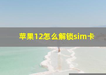 苹果12怎么解锁sim卡