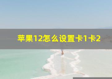 苹果12怎么设置卡1卡2