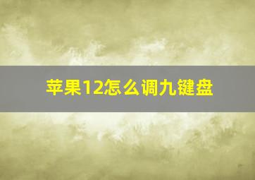 苹果12怎么调九键盘