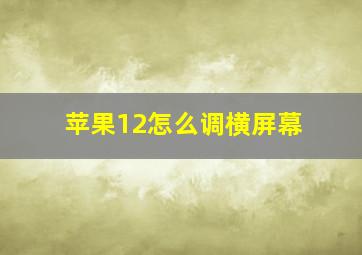 苹果12怎么调横屏幕