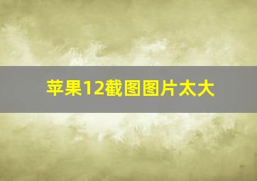 苹果12截图图片太大